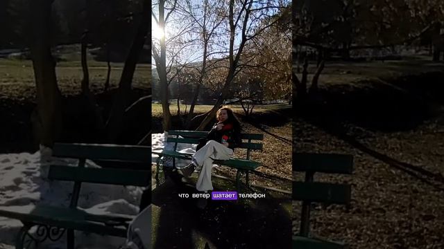 MOV_20260331_130949_949