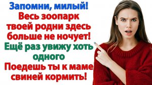Истории из жизни|В моей квартире эти уроды жить не будут!|Аудиорассказы|Аудиокниги|Реальные истории