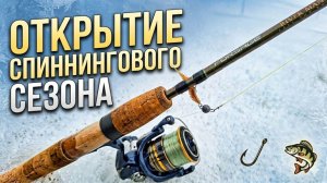 Открытие спиннингового сезона. Окунь на спиннинг