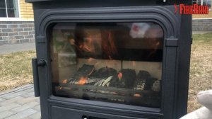 Печь-камин FireBird Dog