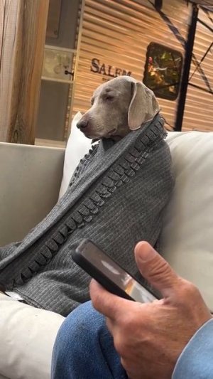 Пригрелся🤗))