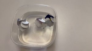 "Весёлый эксперимент". Подготовил воспитатель Кухарева Н. А. (31.03.26)