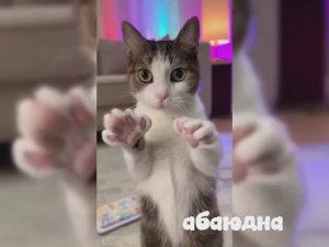 Тренд /Возьми телефон детка #видео #топ #рейтинг#очень #мультики #детям #тренд #ии #рутуб #абаюдна