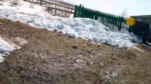 большой паук! (часть 2) паук в окне. Обесняю Вани, про паука