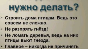 1 апреля Международный день птиц