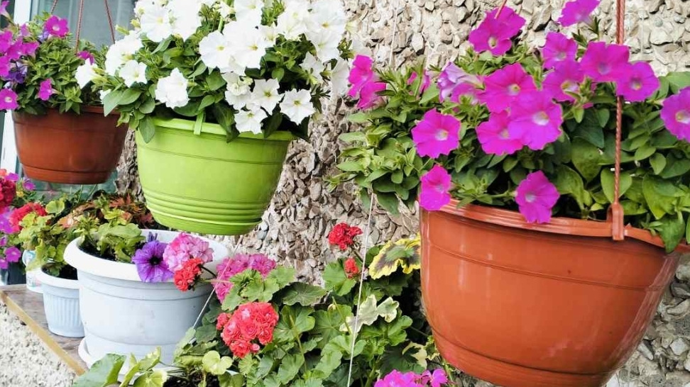 30-03-2026 Жизнь на Урале обычной семьи!!!!! С ним мне придется расстаться)))) Сделала им стрижку)