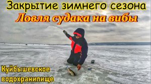 ЛОВЛЯ СУДАКА ВЕСНОЙ/ЗАКРЫТИЕ ЗИМНЕГО СЕЗОНА/СУДАК НА ВИБЫ/КУЙБЫШЕВСКОЕ ВДХР/ВЕСЕННЯЯ РЫБАЛКА/Р.ВОЛГА