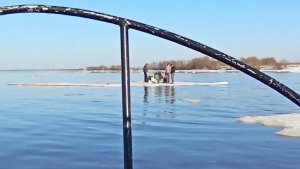 Под Ярославлем трое мужчин и девушка устроили пикник на плавающей льдине