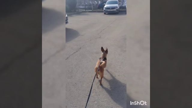 1часть с бусей!!!!!