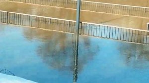 Пахра 30 марта 2026 года