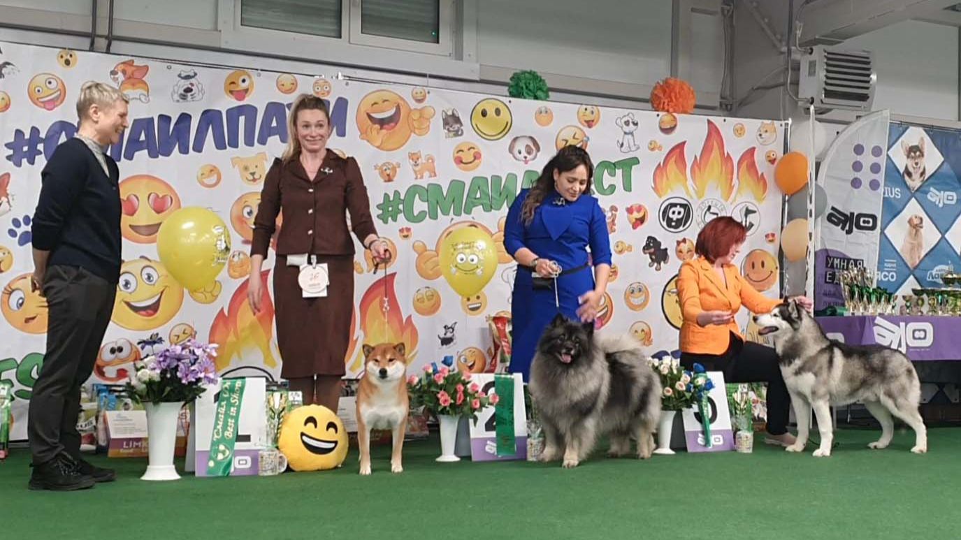 08.03.2026, СПб. Клуб 