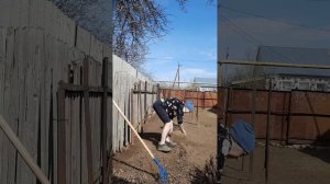 31. 03. 26  #огородныедела