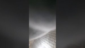 на меня напал мелказавр