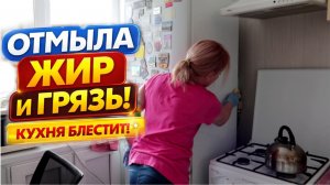 Сильное средство от жира и грязи на кухне! Проверила, работает!