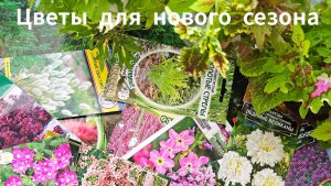 Семена цветов на новый сезон