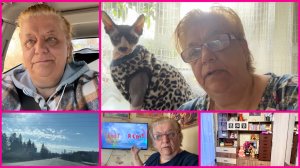 31.03.26 ✨ДЕЛО СДЕЛАНО ✨ ДУРНАЯ ГОЛОВА РУКАМ ПОКОЯ НЕ ДАЁТ ✨