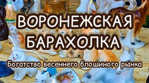 ВОРОНЕЖСКАЯ БАРАХОЛКА| БОГАТСТВО ВЕСЕННЕГО БЛОШИНОГО РЫНКА ✨