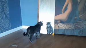 НАРЯД НА ЗАЩИТУ ГОТОВ+КУПИЛА БОЛЬШОЕ ЗЕРКАЛО