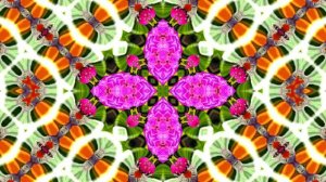 Футажи! Футаж Очаровательные фантастические пейзажи 14!