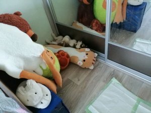 история на УЛИЦЕ!