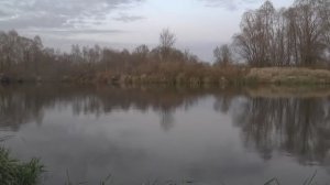 ОХОТА НА БОБРА В БЕЛАРУСИ