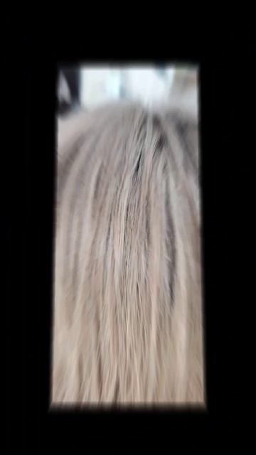 Мелирование волос.