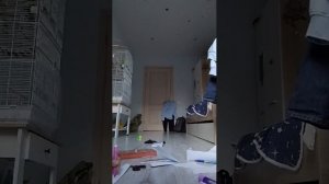 делаем драконов