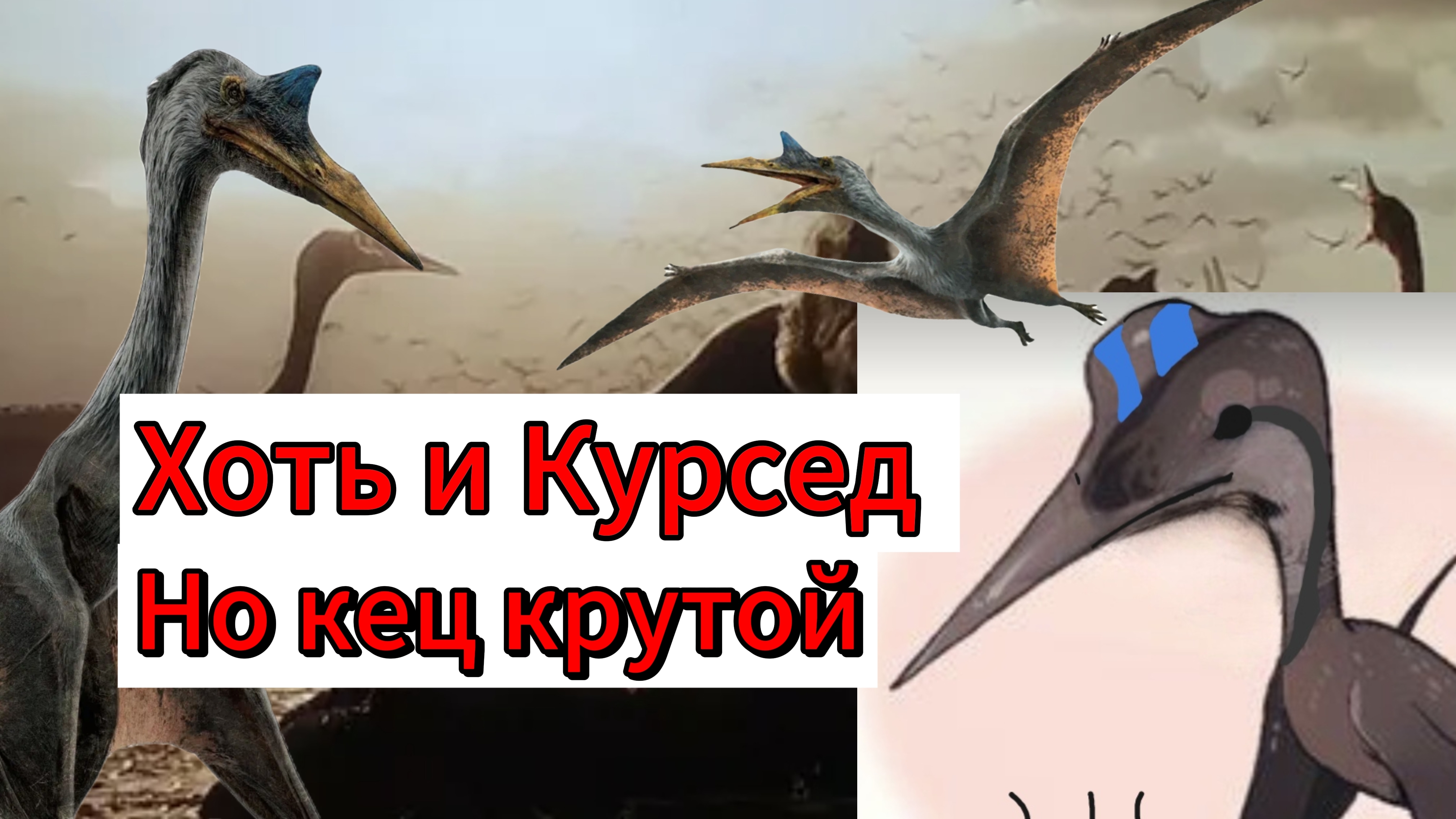 Виживание за кеца в курседе