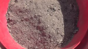 ЗОЛА 💥ЛУЧШАЯ 💥ПОДКОРМКА💥 ДЛЯ РАСТЕНИЙ    💥ПОДПИШИСЬ