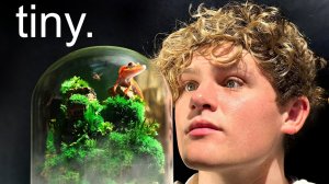 Я создал маленькую экосистему.