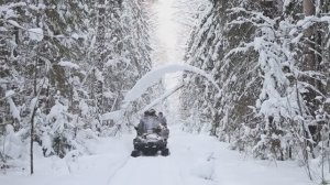 Зима в Кологривском лесу