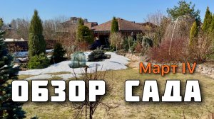 Обзор растений. Наблюдения за садом. Садовый дневник. Март’26