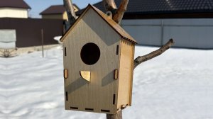 Установили скворечник