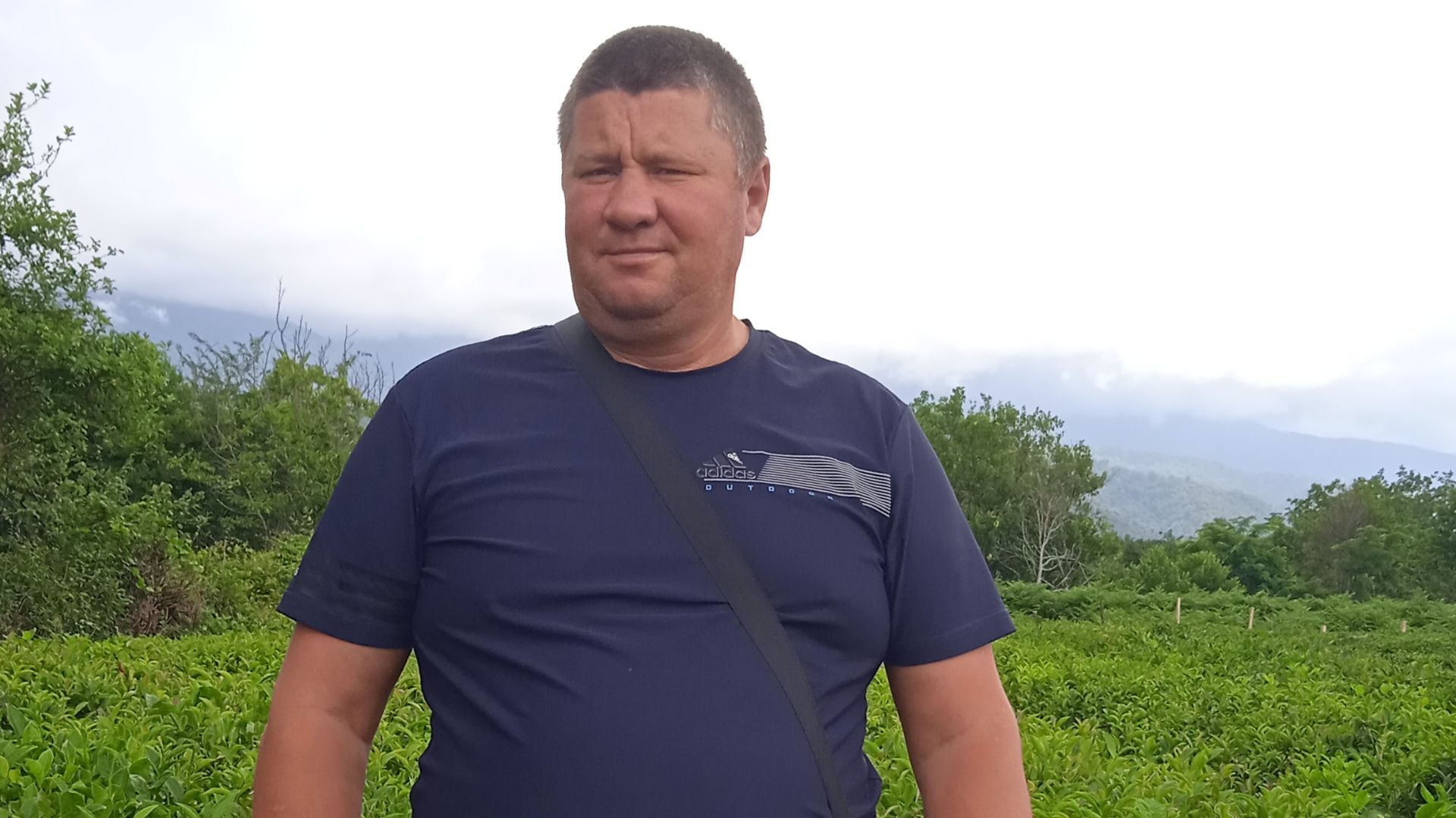 ЧАЙНАЯ ПЛАНТАЦИЯ В АБХАЗИИ. СЕЛО ДУРИПШ ГУДАУТСКИЙ РАЙОН. фрагмент экскурсии от 26.06.2024