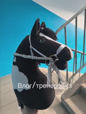 🩷Влог/тренировка по хобби-хорсингу🐴