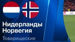 Нидерланды - Хорватия. Обзор матча