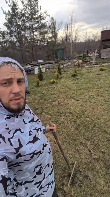 Уход за газоном весной #газон #уходзагазоном #подкормкагазона #сад #садогород