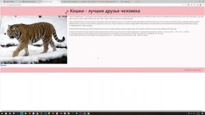 Лабораторная работа 11