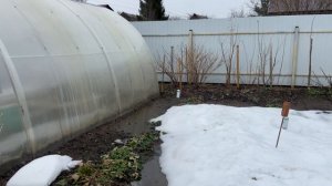 Обзор выходного дня 28.03.26