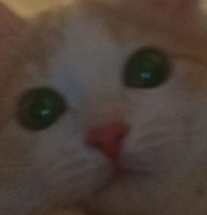 Майн хоррор