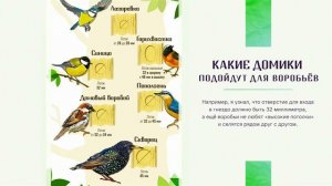 Укрытия для воробьев – ориентир для людей