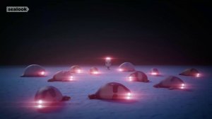 Морские Котики: Месячная подборка 🧊 Охлаждающие эпизоды, 80 минут