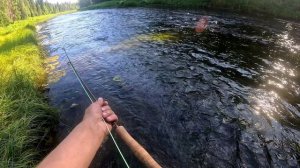 Сплав 2025. Архангельская обл