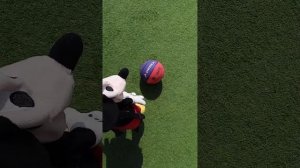 Прогулка Мики🤗, 2 часть