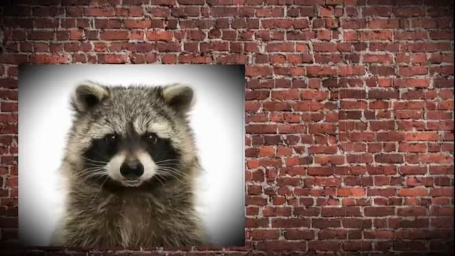 Фабрика лжи. 
Заключительная часть. 
Ремесло.