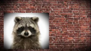 Фабрика лжи. 
Заключительная часть. 
Ремесло.