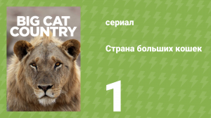 Страна больших кошек 1 серия (документальный сериал, 2020)