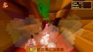 ALL Sonic's FRIENDS Play!  - Minecraft Sonic The Hedgehog DLC!