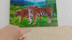 Тигр с кошачьей головой