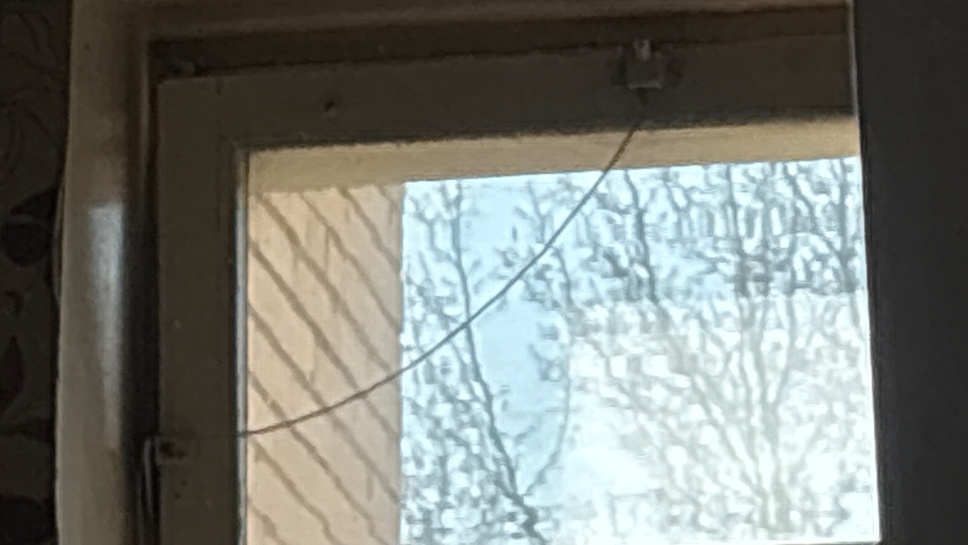 Shedletsky Vs 1x1x1x1